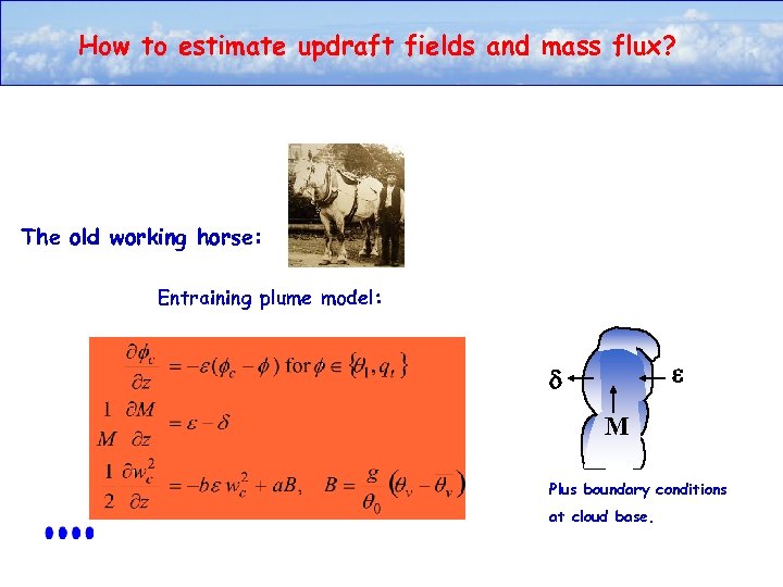 How to estimate updraft fields and mass flux? The old working horse: Entraining plume
