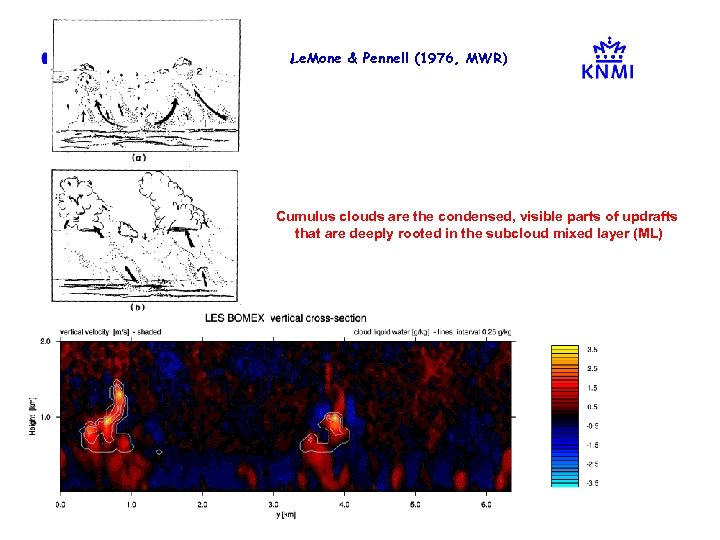 l Le. Mone & Pennell (1976, MWR) Cumulus clouds are the condensed, visible parts