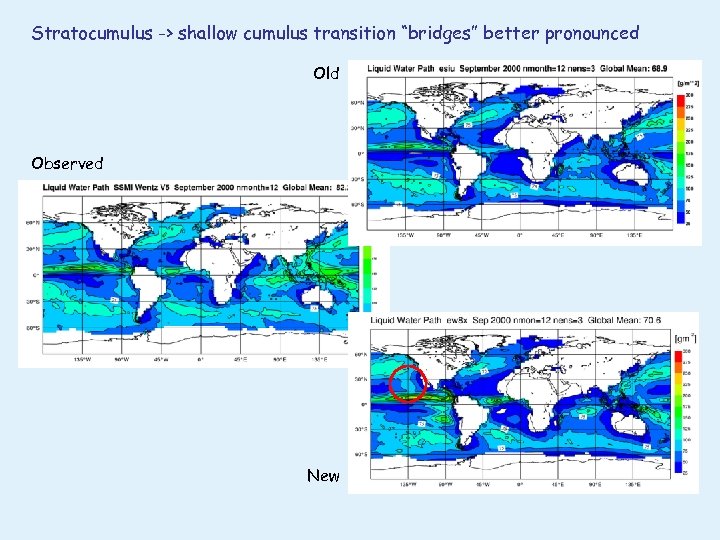 Stratocumulus -> shallow cumulus transition “bridges” better pronounced Old Observed New 