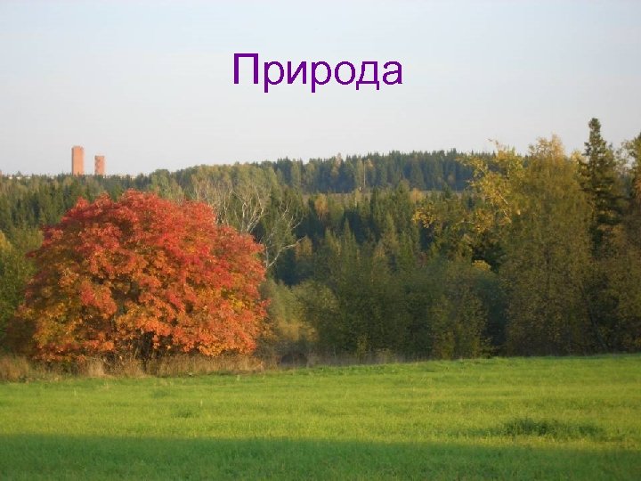 Природа 