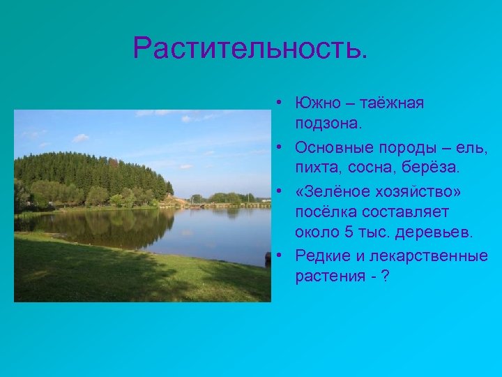 Растительность. • Южно – таёжная подзона. • Основные породы – ель, пихта, сосна, берёза.