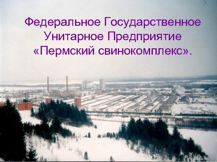Федеральное Государственное Унитарное Предприятие «Пермский свинокомплекс» . 