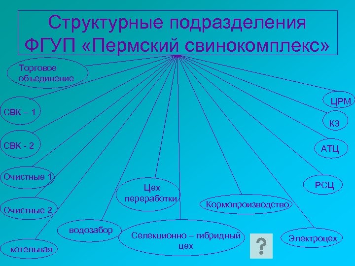 Структурные подразделения ФГУП «Пермский свинокомплекс» Торговое объединение ЦРМ СВК – 1 КЗ СВК -