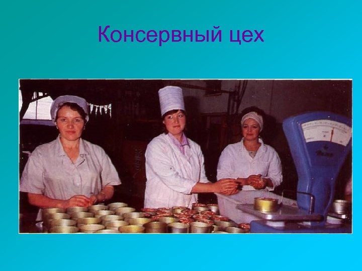 Консервный цех 