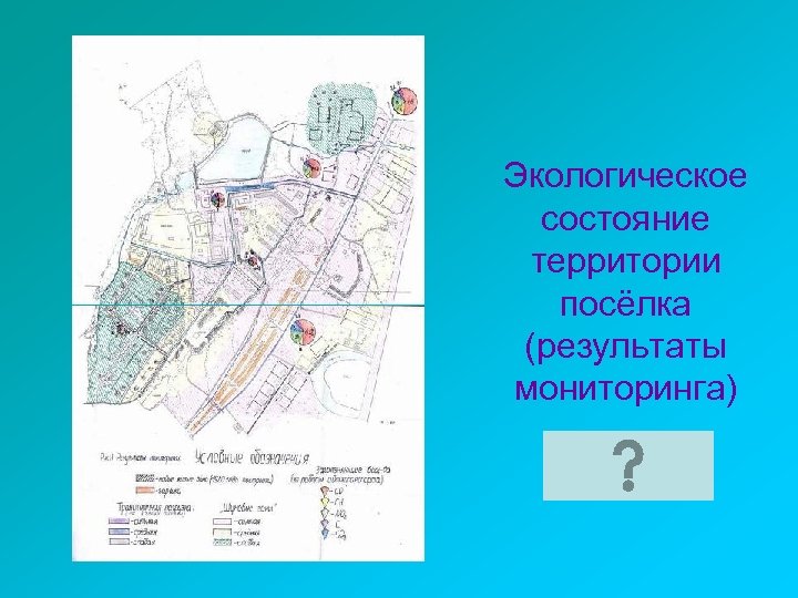 Экологическое состояние территории посёлка (результаты мониторинга) 