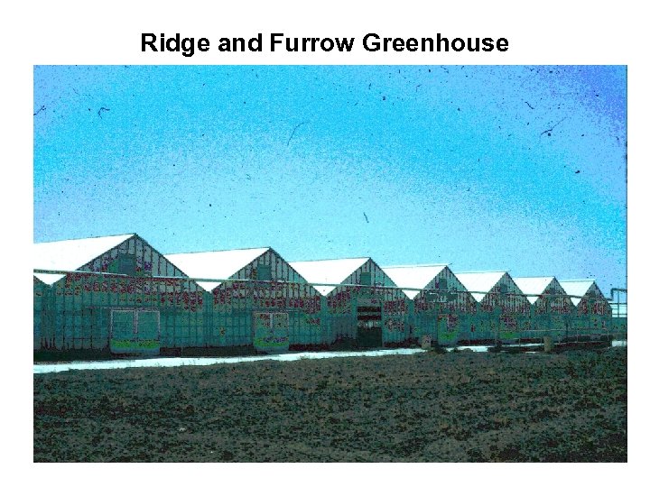 Ridge and Furrow Greenhouse 