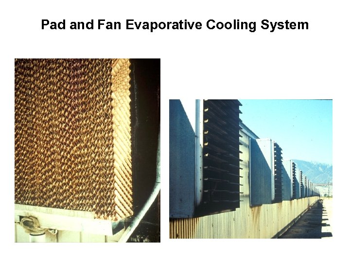 Pad and Fan Evaporative Cooling System 
