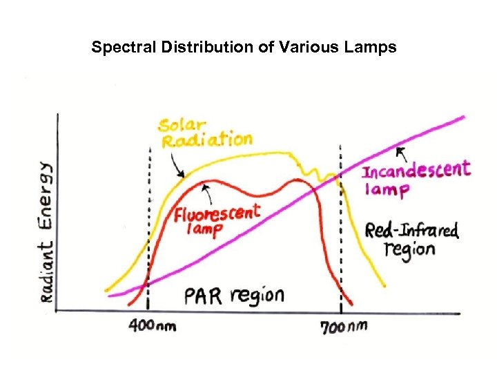 Spectral Distribution of Various Lamps 