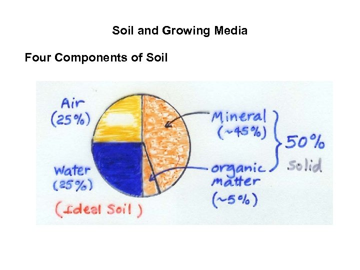 Soil and Growing Media Four Components of Soil 