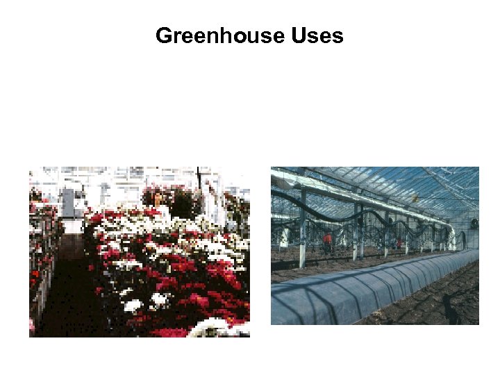Greenhouse Uses 