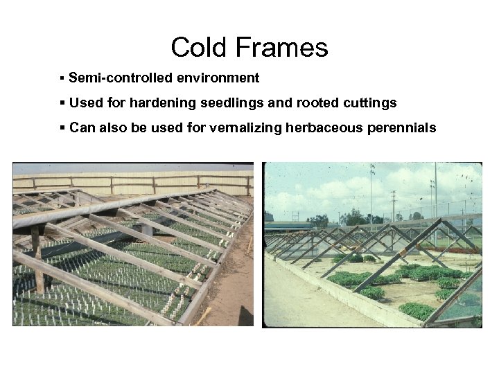 Cold Frames § Semi-controlled environment § Used for hardening seedlings and rooted cuttings §