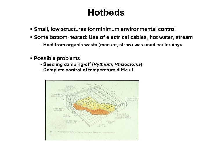 Hotbeds § Small, low structures for minimum environmental control § Some bottom-heated: Use of