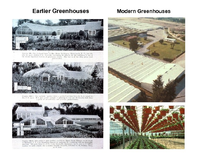 Earlier Greenhouses Modern Greenhouses 