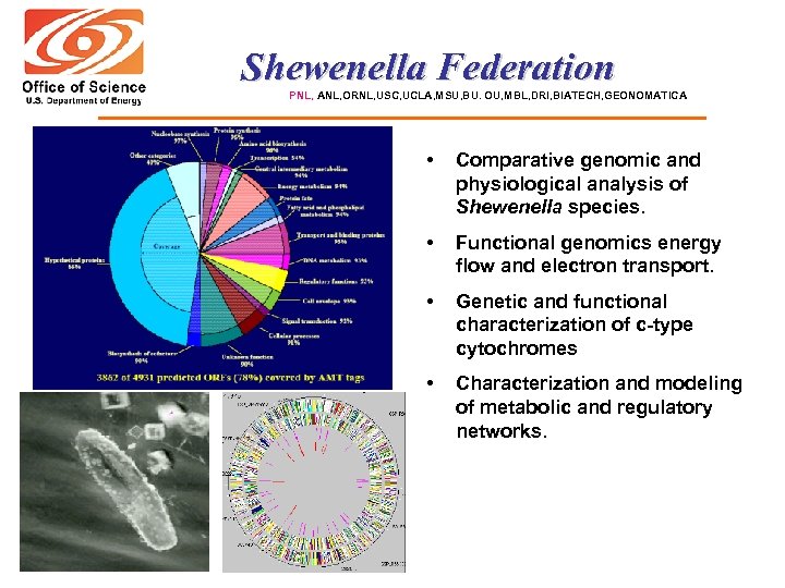Shewenella Federation PNL, ANL, ORNL, USC, UCLA, MSU, BU. OU, MBL, DRI, BIATECH, GEONOMATICA