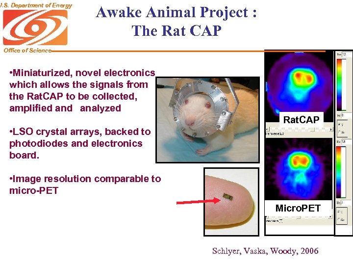 U. S. Department of Energy Awake Animal Project : The Rat CAP Office of