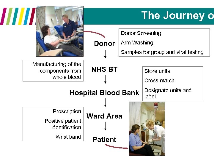 The Journey o Donor Screening Donor Arm Washing Samples for group and viral testing