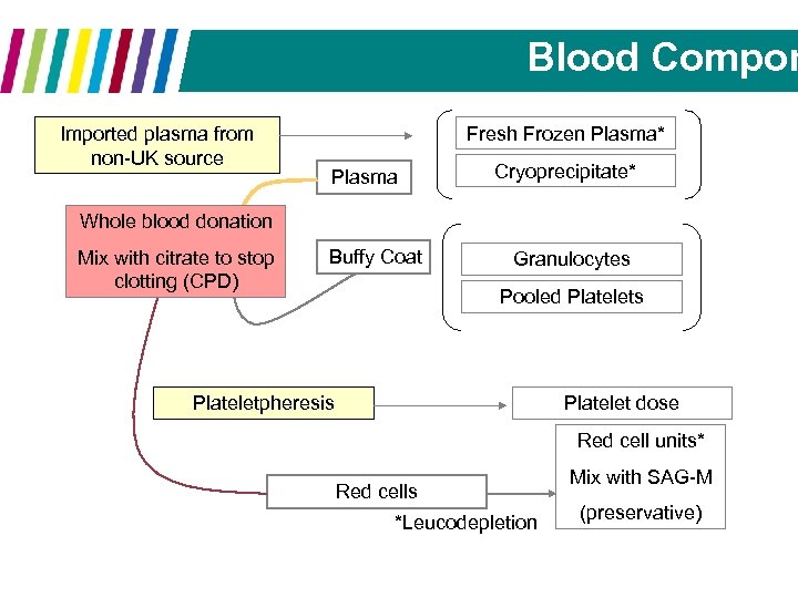 Blood Compon Imported plasma from non-UK source Fresh Frozen Plasma* Plasma Cryoprecipitate* Whole blood