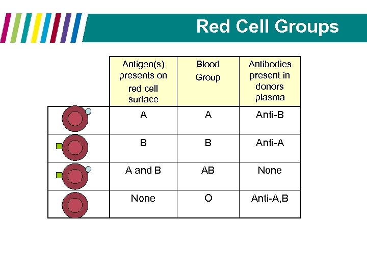 Red Cell Groups Antigen(s) presents on red cell surface Blood Group Antibodies present in