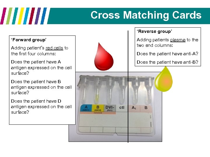 Cross Matching Cards ‘Reverse group’ ‘Forward group’ Adding patient’s red cells to the first