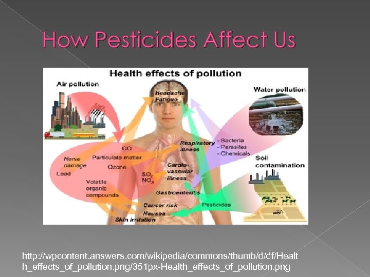 How Pesticides Affect Us http: //wpcontent. answers. com/wikipedia/commons/thumb/d/df/Healt h_effects_of_pollution. png/351 px-Health_effects_of_pollution. png 