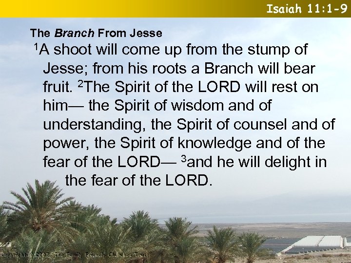 Isaiah 11: 1 -9 The Branch From Jesse 1 A shoot will come up
