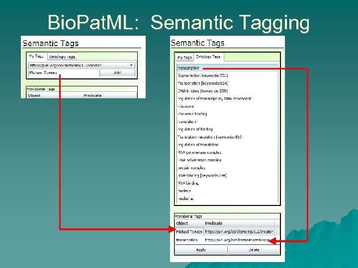 Bio. Pat. ML: Semantic Tagging 