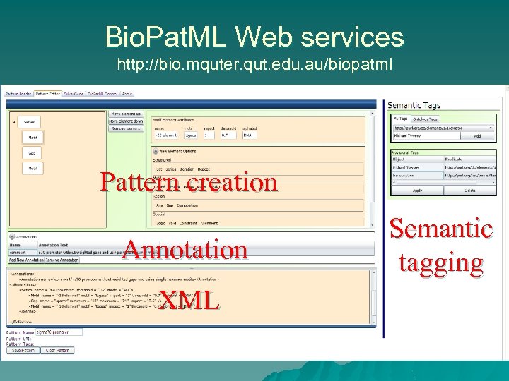 Bio. Pat. ML Web services http: //bio. mquter. qut. edu. au/biopatml Pattern creation Annotation