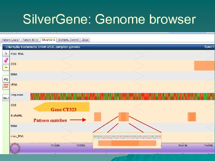 Silver. Gene: Genome browser Gene CT 323 Pattern matches 