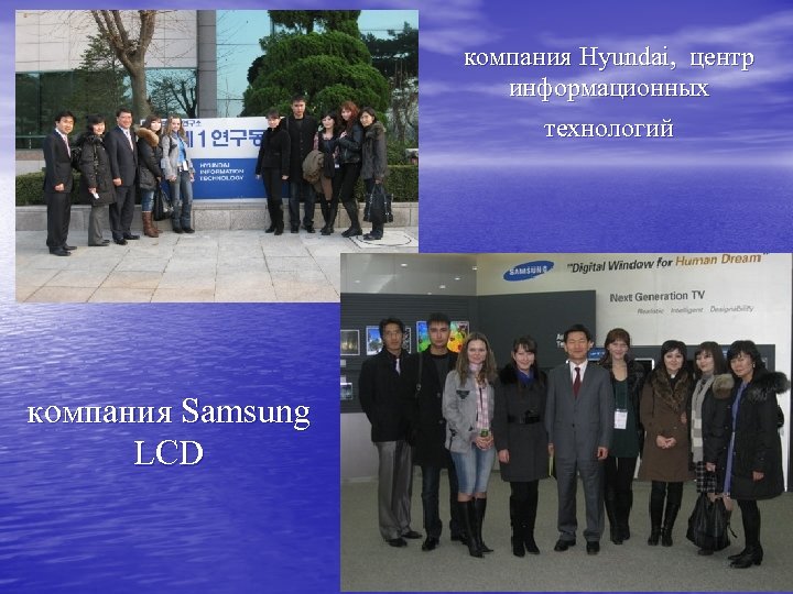 компания Hyundai, центр информационных технологий компания Samsung LCD 
