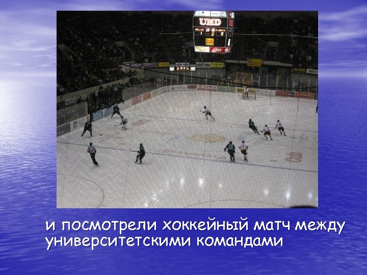 и посмотрели хоккейный матч между университетскими командами 