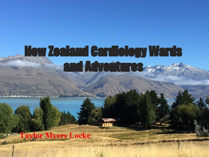 New Zealand Cardiology Wards and Adventures Taylor Myers Locke 