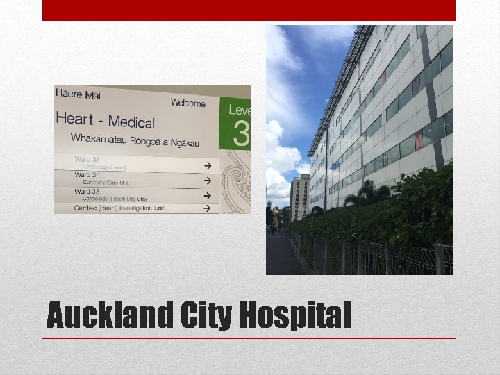 Auckland City Hospital 