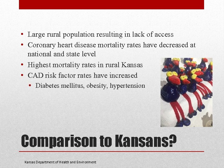  • Large rural population resulting in lack of access • Coronary heart disease