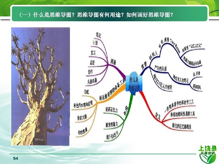（一）什么是思维导图？思维导图有何用途？如何画好思维导图？ 54 