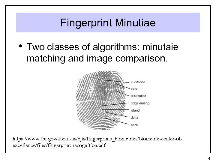 Fingerprint Minutiae • Two classes of algorithms: minutaie matching and image comparison. https: //www.