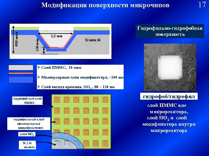 430 мкм Модификация поверхности микрочипов 150 мкм 1, 5 мм Гидрофильно-гидрофобная поверхность Si или