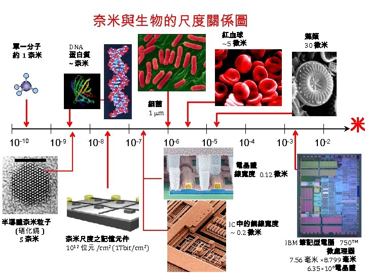奈米與生物的尺度關係圖 單一分子 約 1 奈米 紅血球 ~5 微米 DNA 蛋白質 ~ 奈米 藻類 30