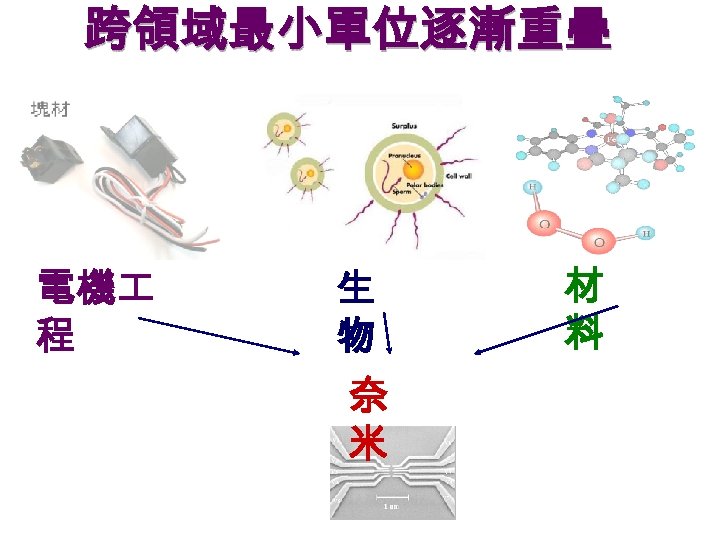 跨領域最小單位逐漸重疊 電機 程 生 物 奈 米 材 料 