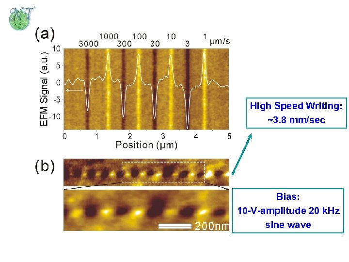 High Speed Writing: ~3. 8 mm/sec Bias: 10 -V-amplitude 20 k. Hz sine wave