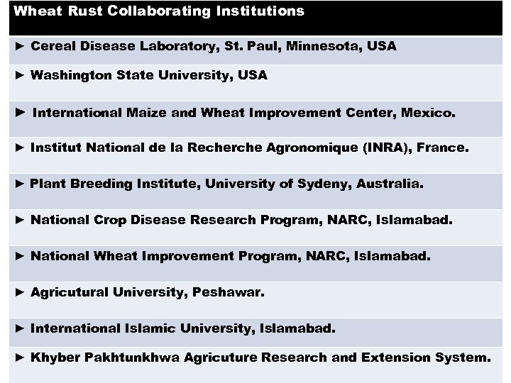 Wheat Rust Collaborating Institutions ► Cereal Disease Laboratory, St. Paul, Minnesota, USA ► Washington