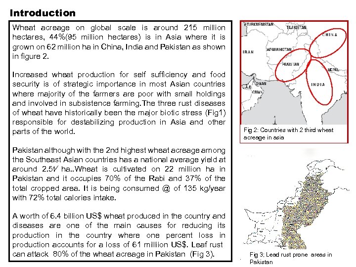 Introduction Wheat acreage on global scale is around 215 million hectares, 44%(95 million hectares)