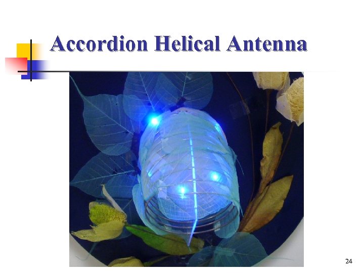 Accordion Helical Antenna 24 
