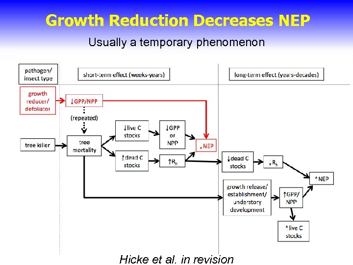 Growth Reduction Decreases NEP Usually a temporary phenomenon Hicke et al. in revision 