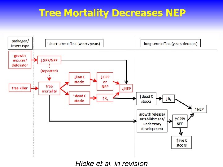 Tree Mortality Decreases NEP Hicke et al. in revision 