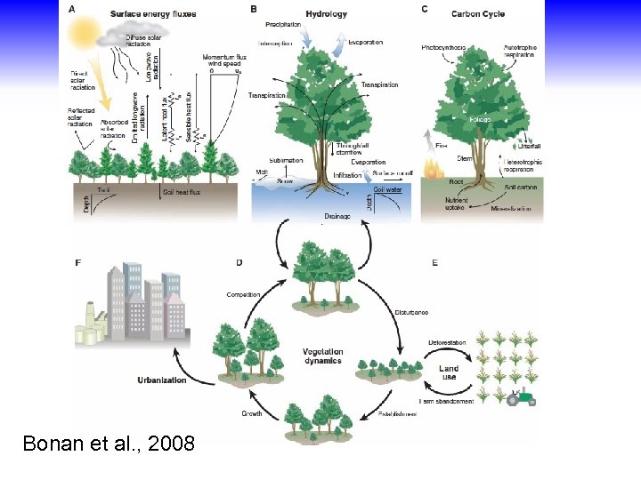 Bonan et al. , 2008 