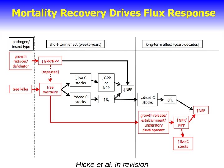 Mortality Recovery Drives Flux Response Hicke et al. in revision 