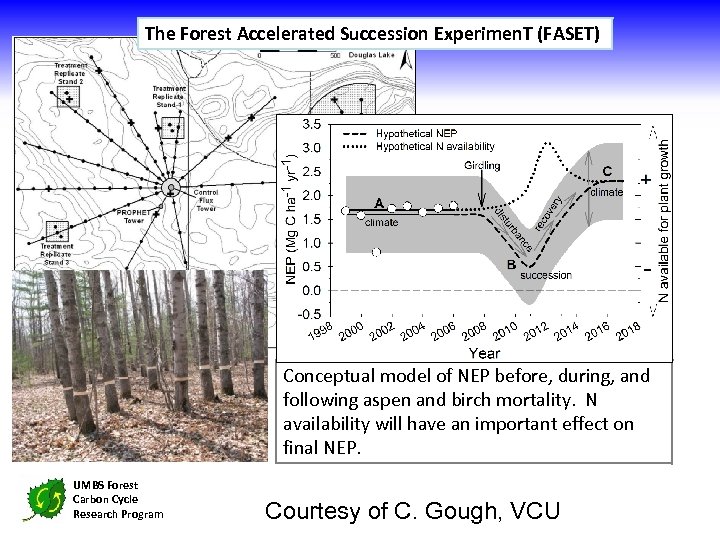 The Forest Accelerated Succession Experimen. T (FASET) Conceptual model of NEP before, during, and