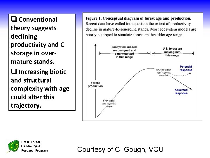 q Conventional theory suggests declining productivity and C storage in overmature stands. q Increasing