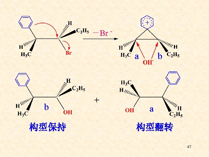 －Br - a b 构型保持 b a 构型翻转 47 