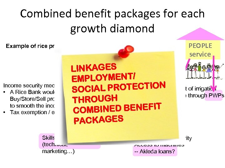 Combined benefit packages for each growth diamond Example of rice production Linkages with local